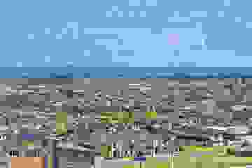 Wide shot of a suburban neighbourhood
