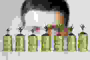 Mans face in background behind stacks of coins with growing seedlings investment concept