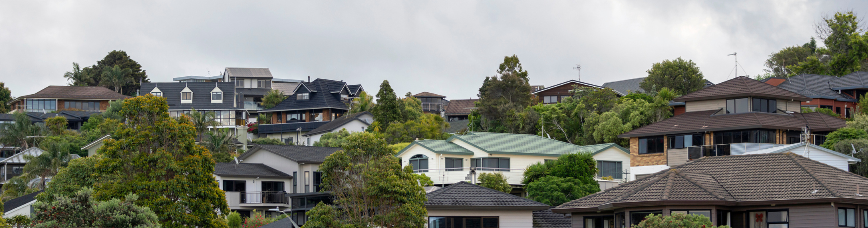 新西兰大部分地区买方占优,但局部区域卖方仍有话语权