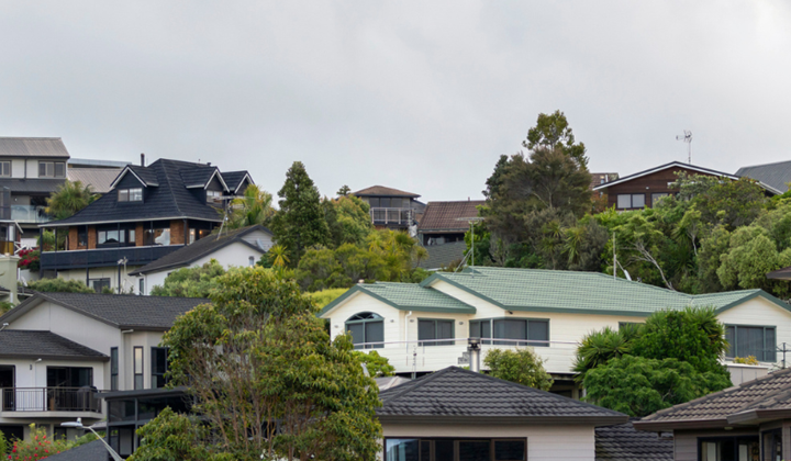 新西兰大部分地区买方占优,但局部区域卖方仍有话语权