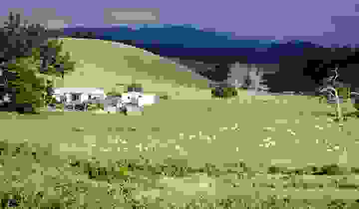 Regional New Zealand sheep farm and house with fields and hills surrounding